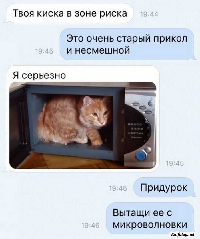 картинка прикол