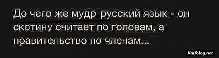 картинка прикол