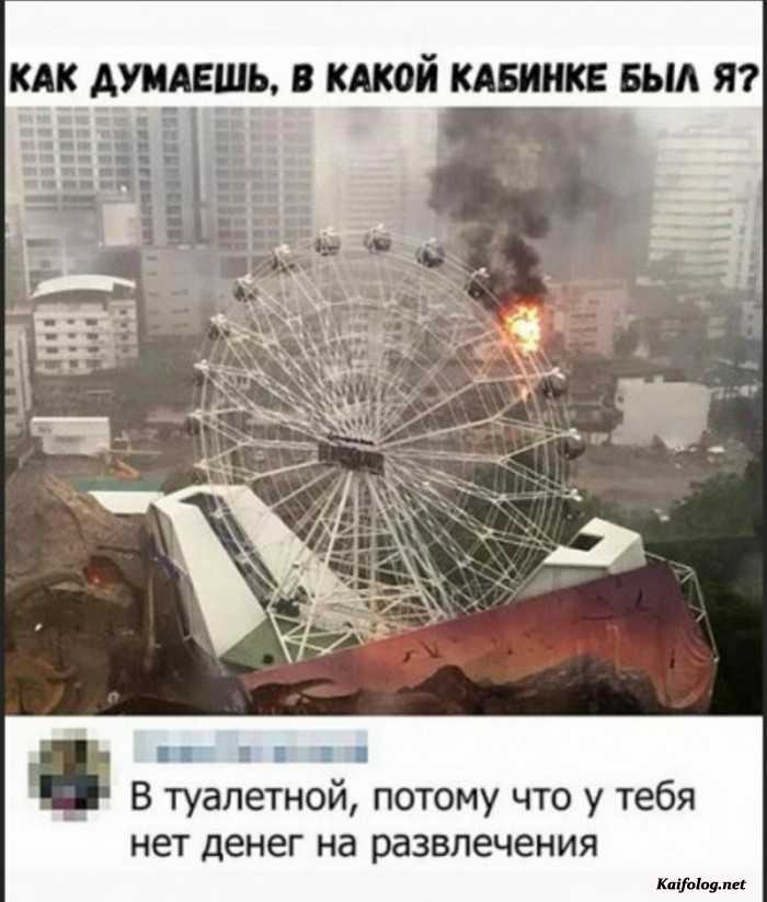 картинка прикол