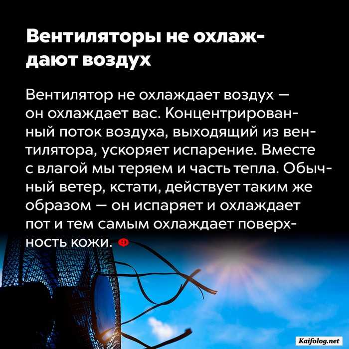 занимательный факт