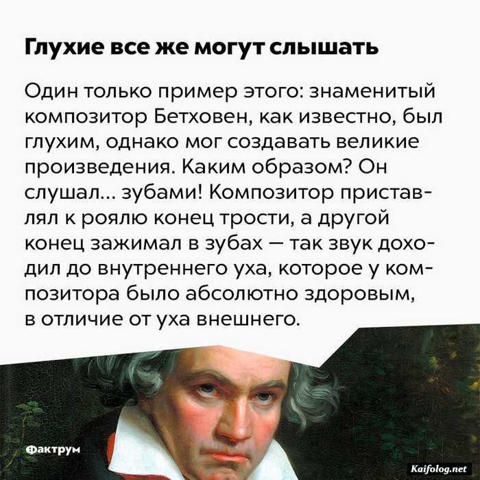 занимательный факт