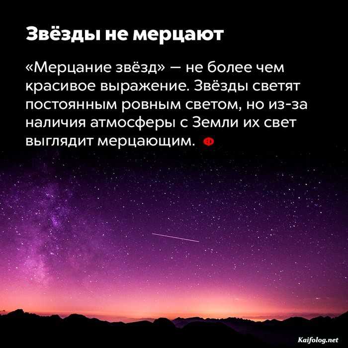 занимательный факт