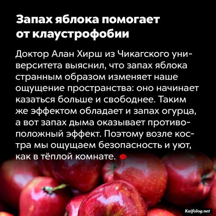 занимательный факт