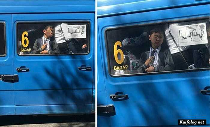 прикол фотография
