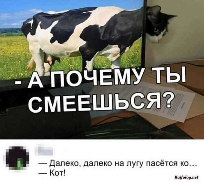 прикол фотография