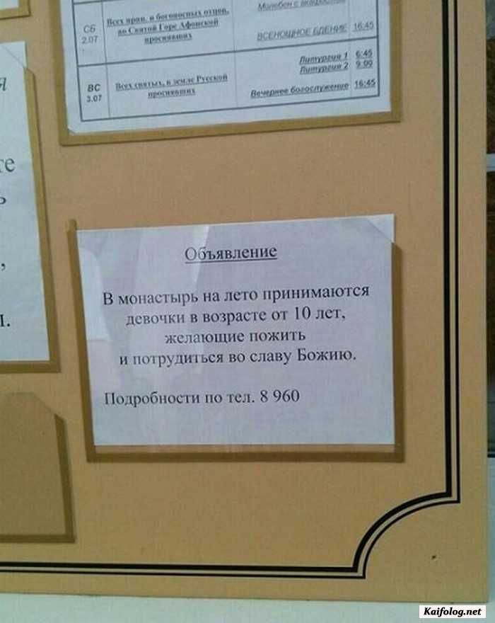прикол фотография