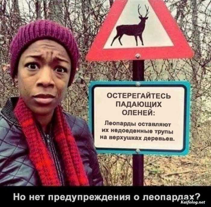прикол фотография