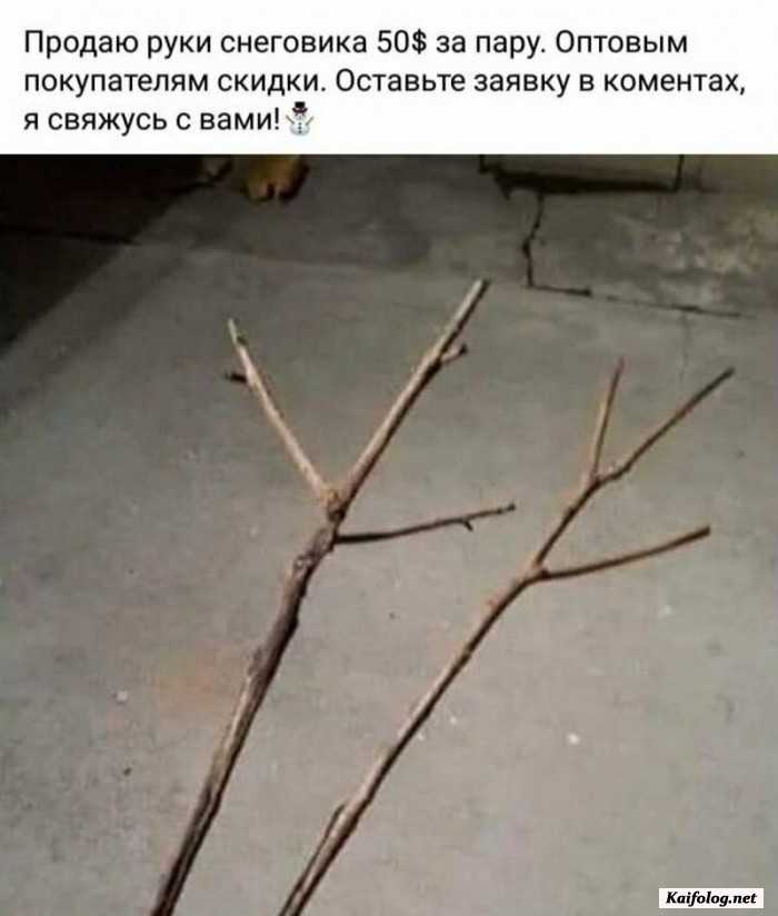 прикол фотография