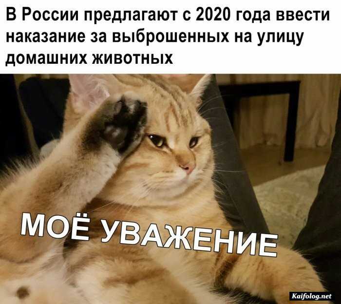 прикол картинка с надписью