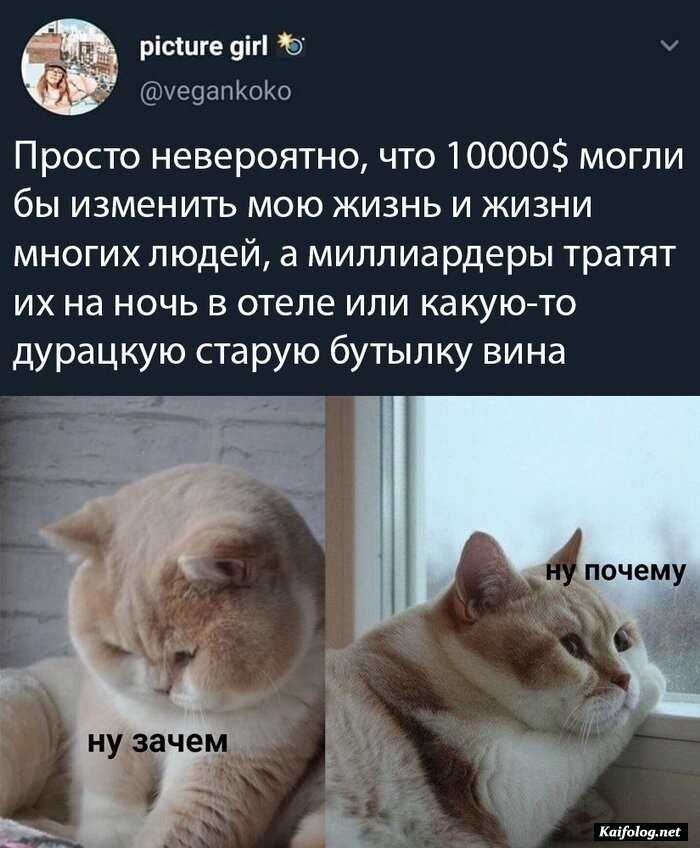прикол картинка с надписью