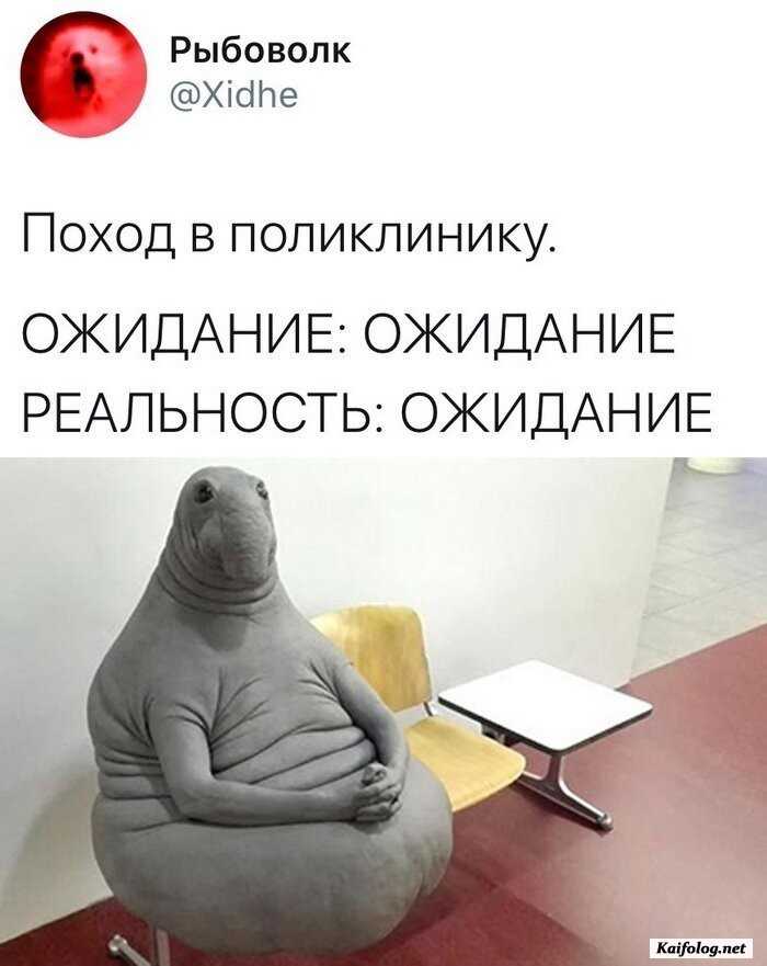 прикол картинка с надписью