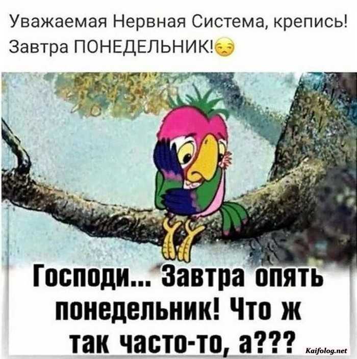 прикол картинка с надписью