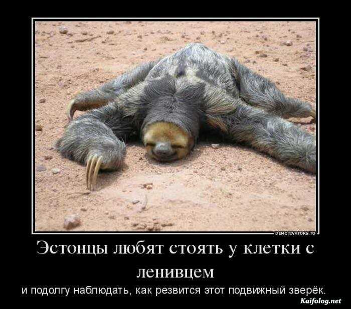 демотиватор веселый