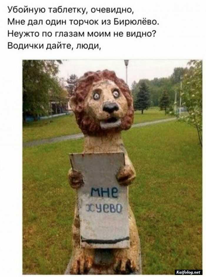 фото прикольное