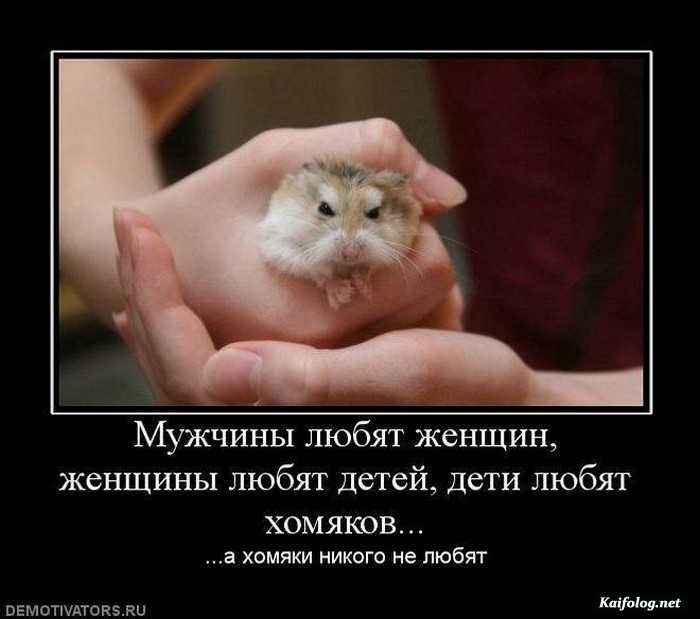 демотиватор картинка