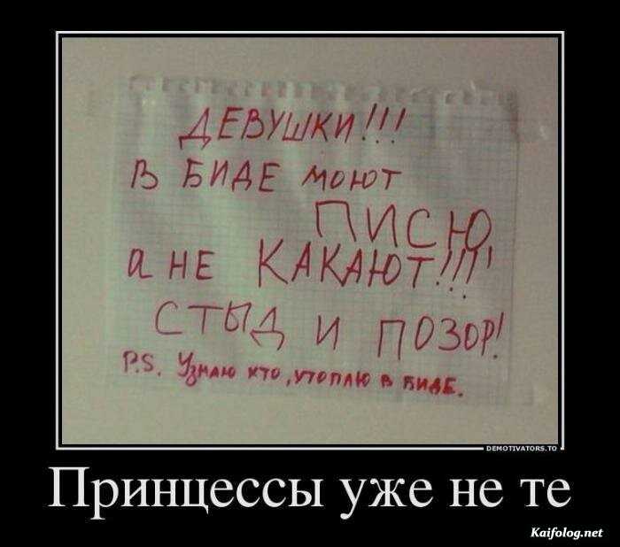 демотиватор картинка