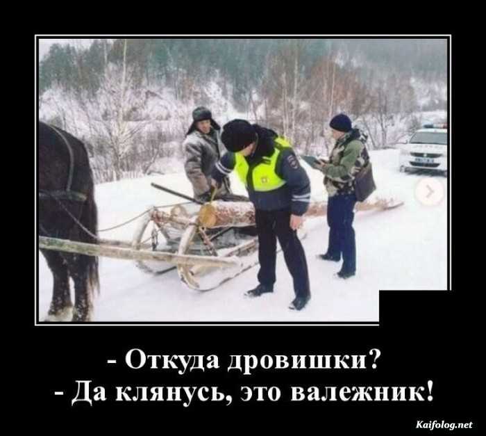 прикол демотиватор