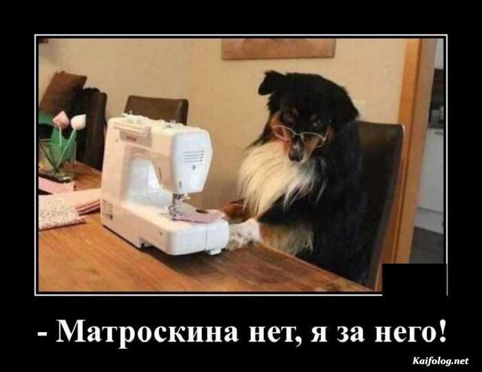 прикол демотиватор