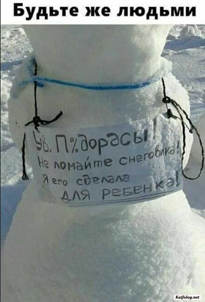смешное фото