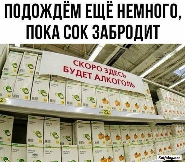 фото прикол