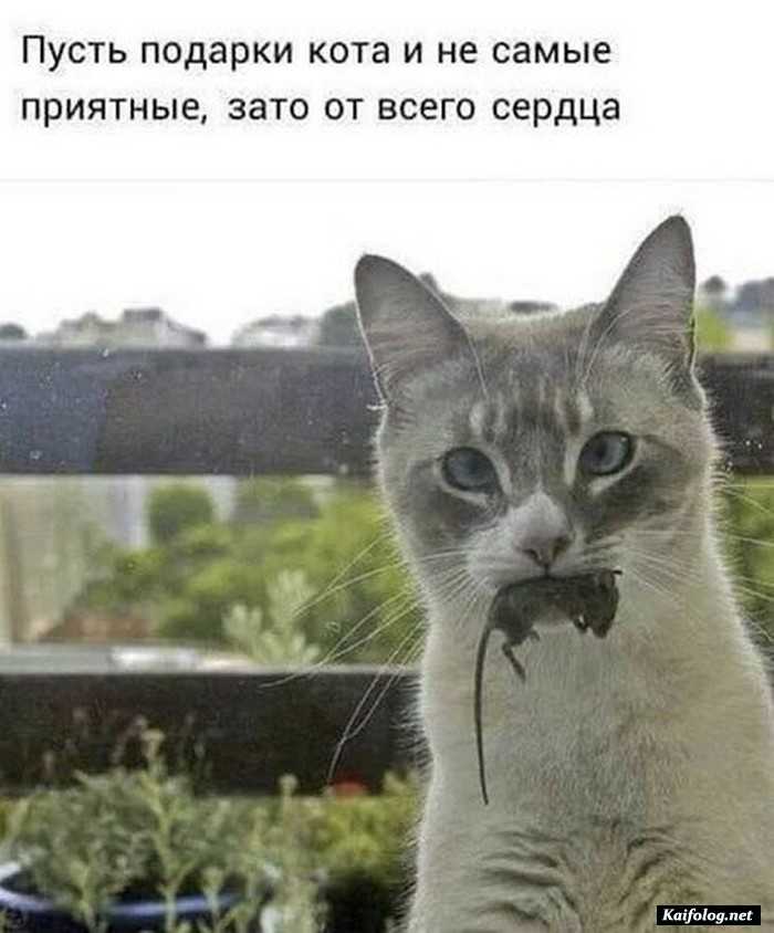 фото прикол