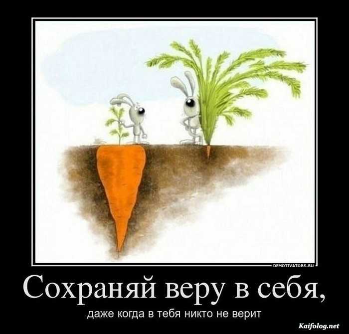 демотиватор картинка