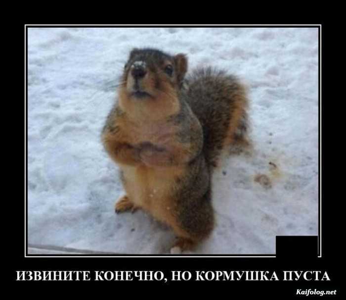 демотиватор смешно