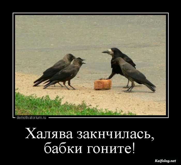 демотиватор смешно