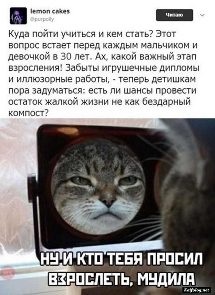 прикольная картинка с надписью