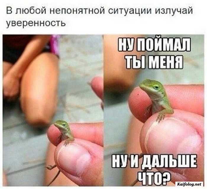 прикольная картинка с надписью