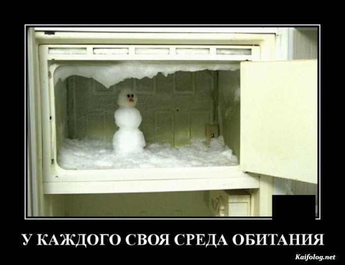 демотиватор картинка