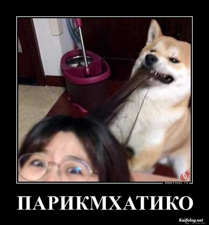 демотиватор картинка