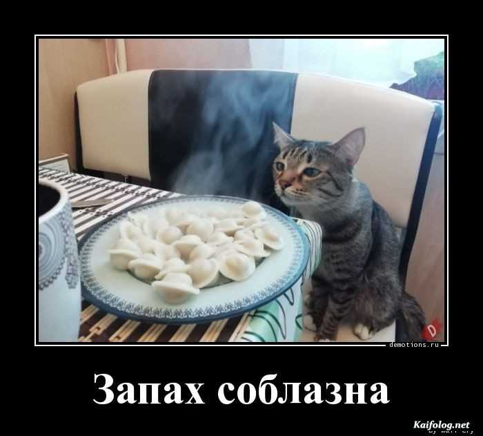 демотиватор картинка