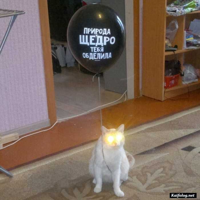 фото с приколом