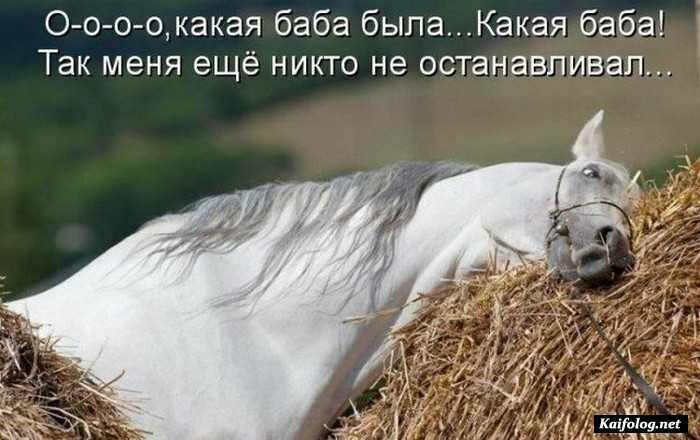 прикольная картинка