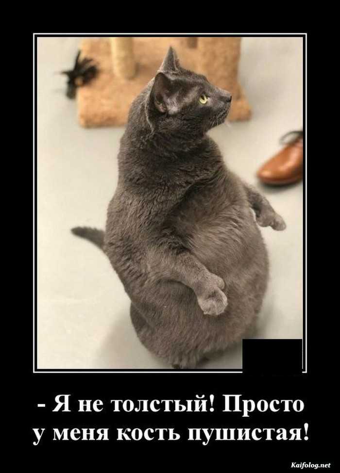 картинка с надписью демотиватор
