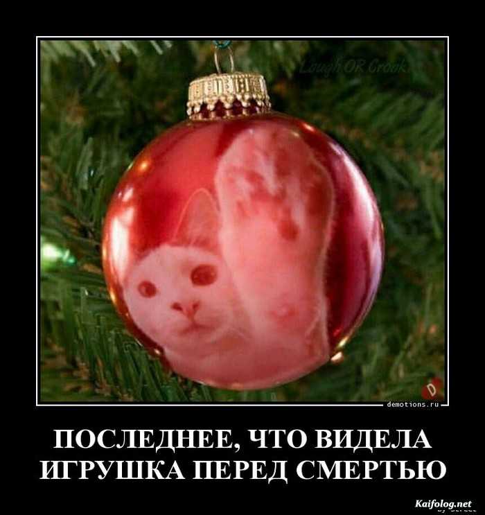 картинка с надписью демотиватор