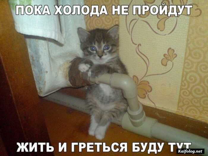 фото прикол