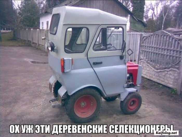 фото прикол