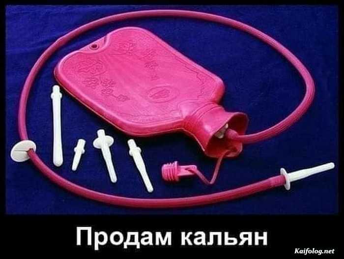 фото прикол