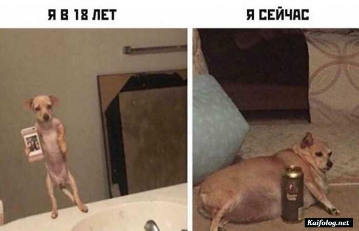 фото прикол