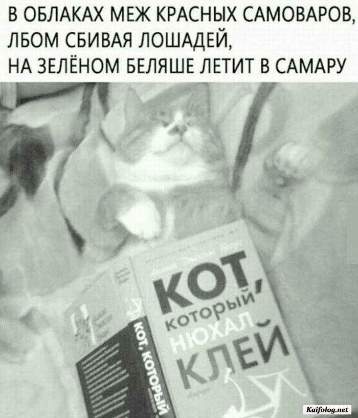 фото прикол