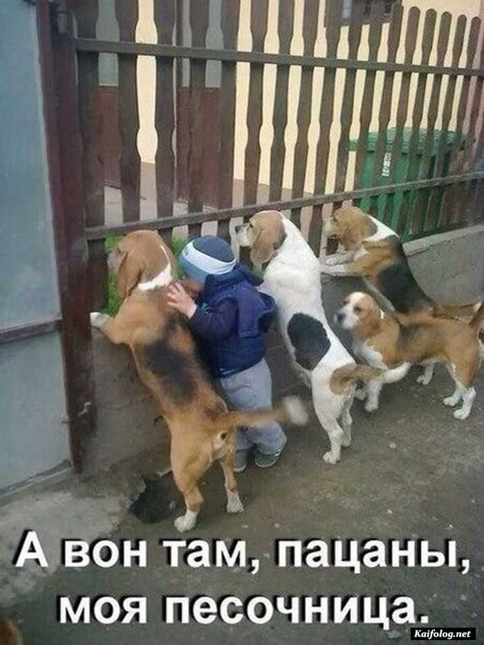 фото прикол