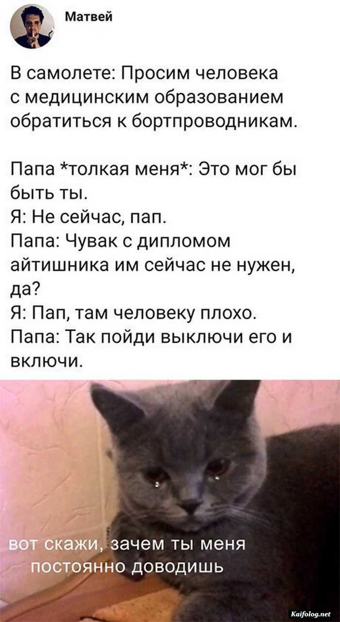 прикольная картинка