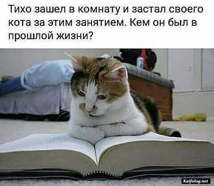 прикольная картинка