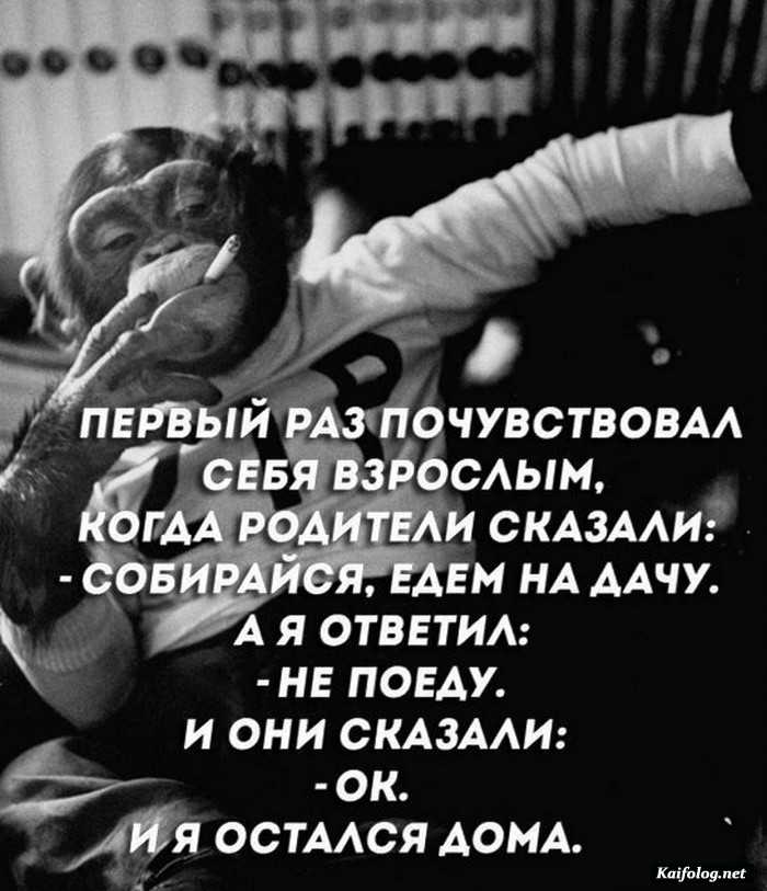 прикольная картинка