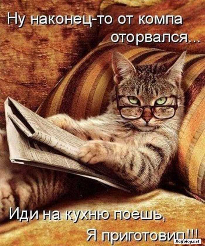 прикольная картинка