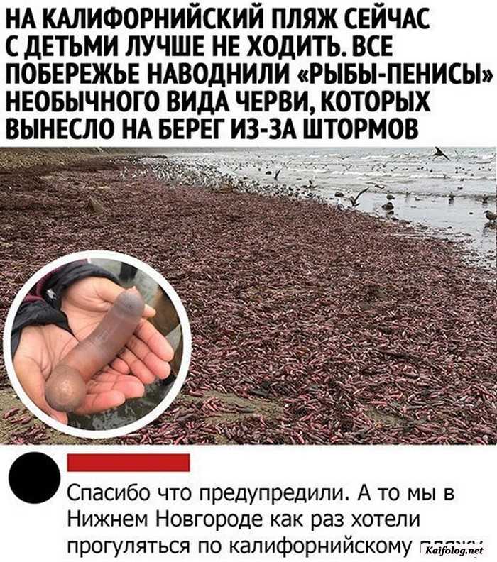фото прикол
