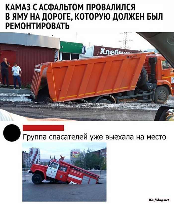 фото прикол