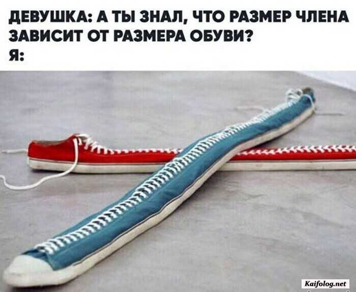 фото прикол